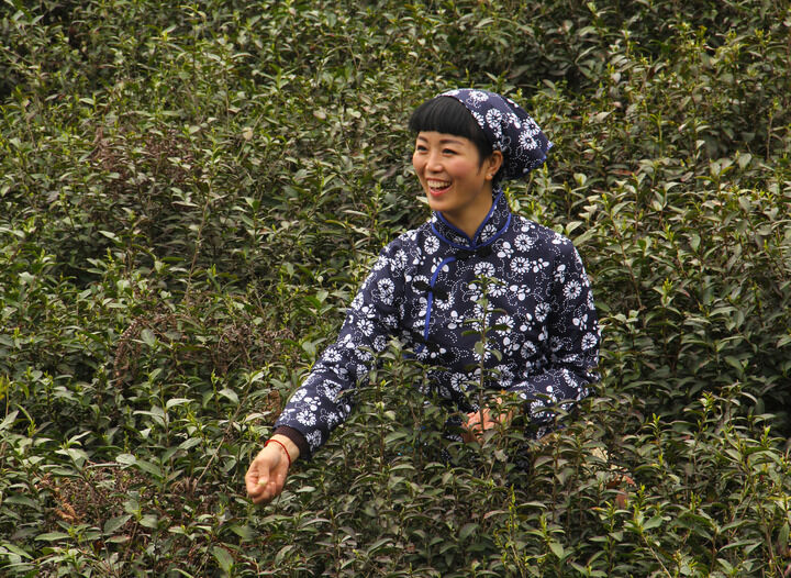 热门动漫6